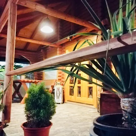 Wild House Las Palmas / Gran Canaria